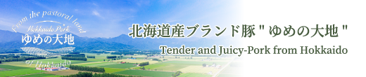 北海道産ブランド豚 ゆめの大地